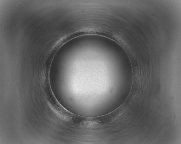 X0000079580208200612011226