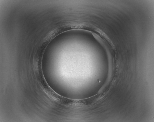 X0000079580209200612011226