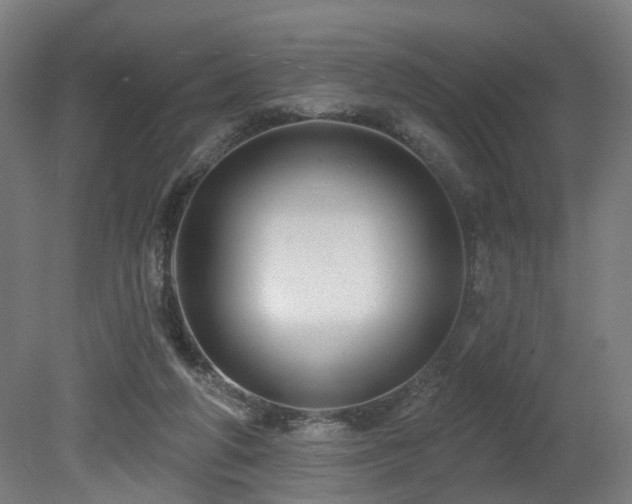 X0000079580210200612011226