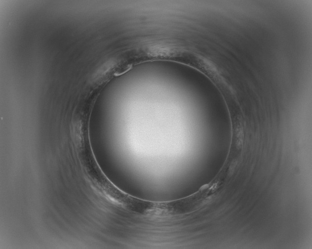X0000079580211200612011226