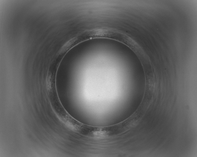 X0000079580216200612011226