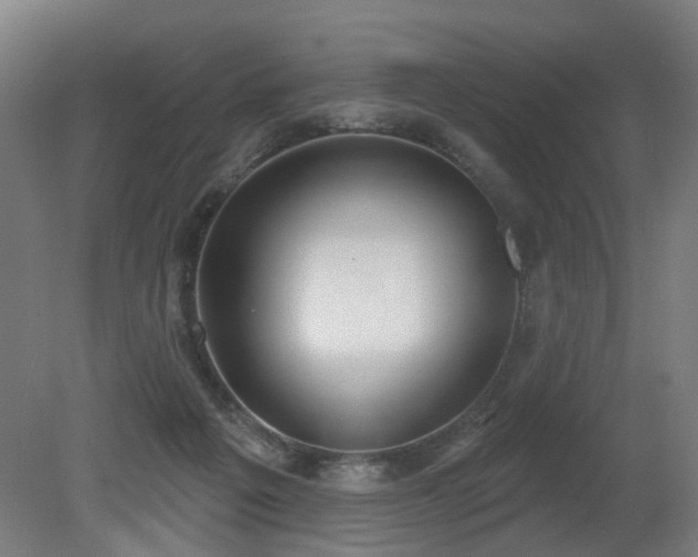 X0000079580217200612011226