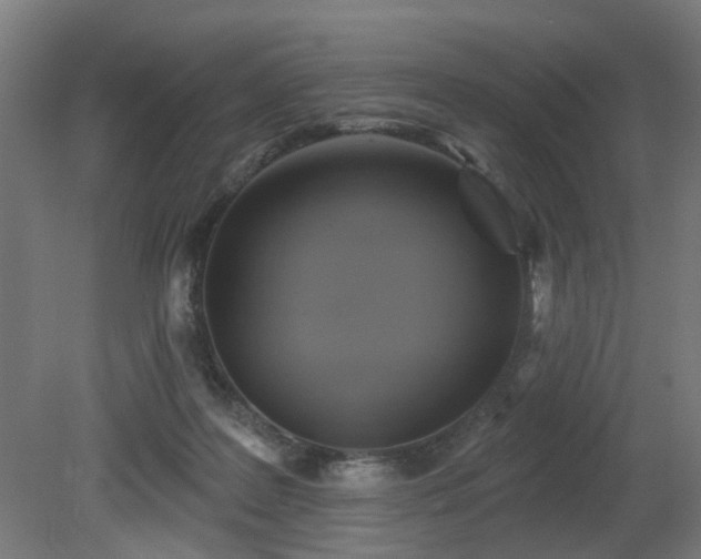 X0000079580219200612011226