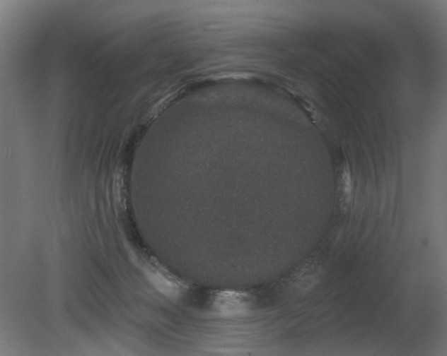 X0000079580222200612011226