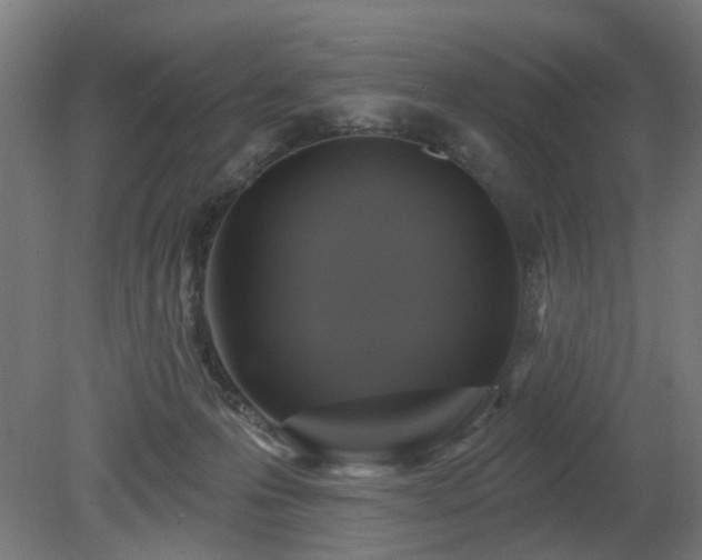 X0000079580223200612011226