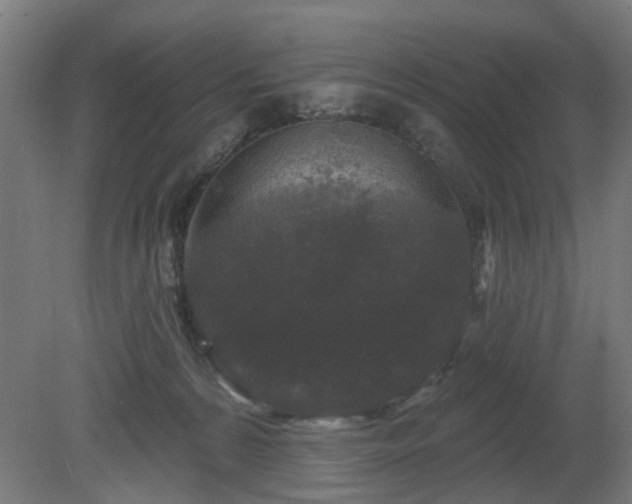 X0000079580224200612011226