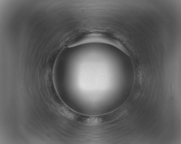 X0000079580225200612011226
