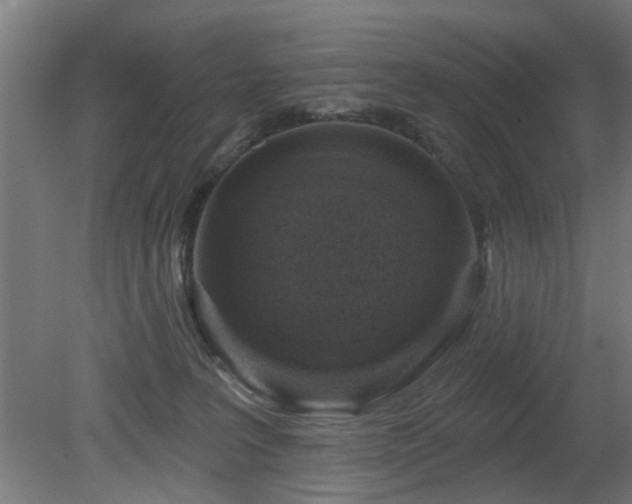 X0000079580227200612011226