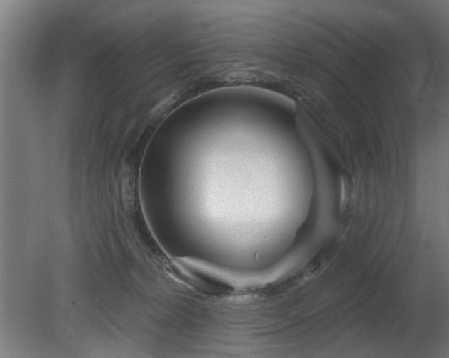 X0000079580228200612011226