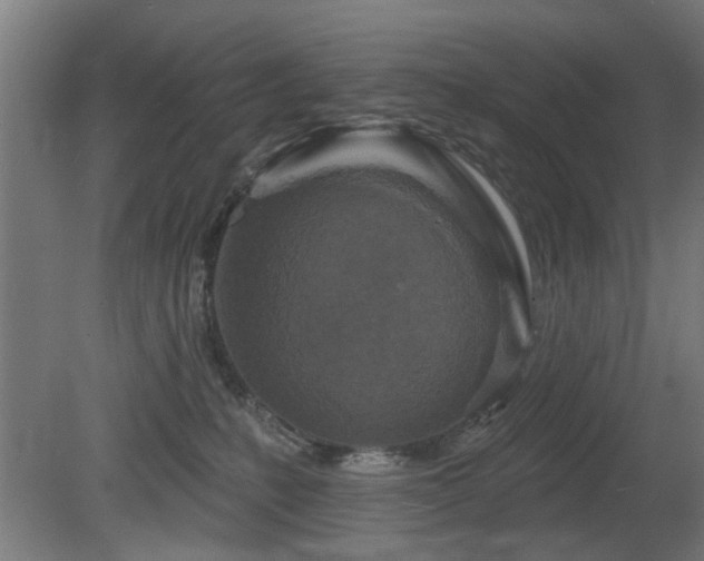 X0000079580231200612011226