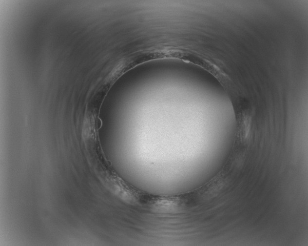 X0000079580236200612011226