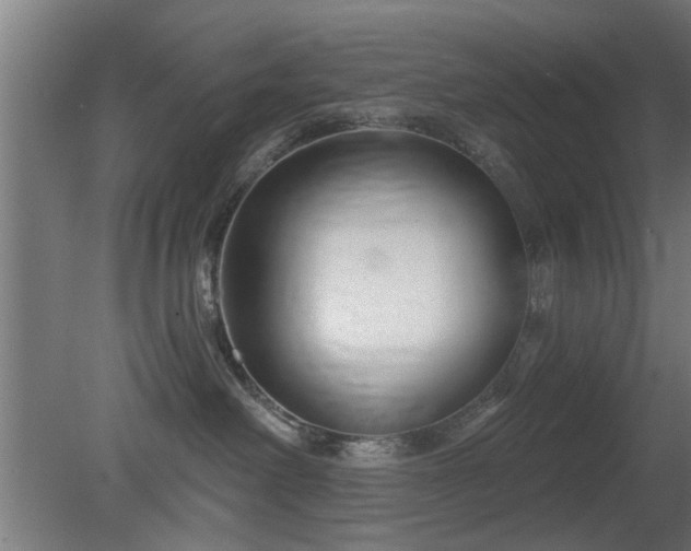 X0000079580238200612011226