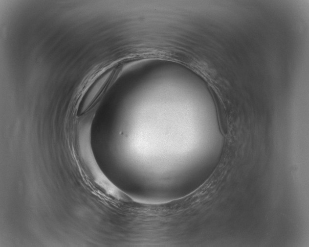 X0000079580241200612011225