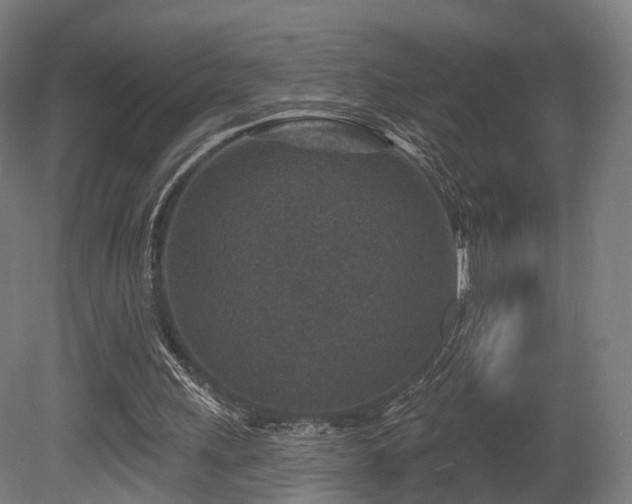 X0000079580243200612011225