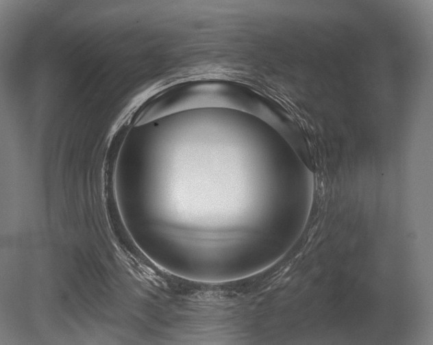 X0000079580244200612011225