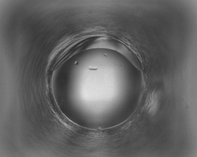 X0000079580245200612011225