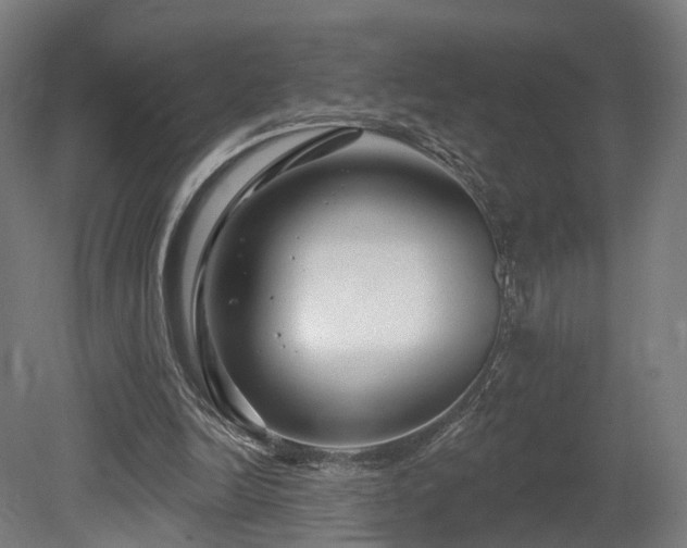 X0000079580246200612011225