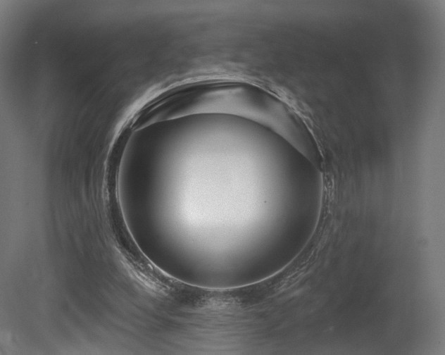 X0000079580248200612011225