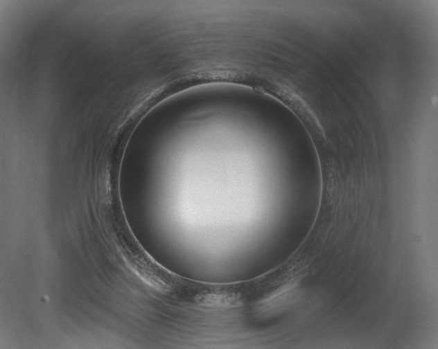 X0000079580251200612011225