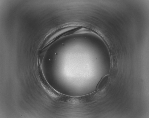 X0000079580253200612011225