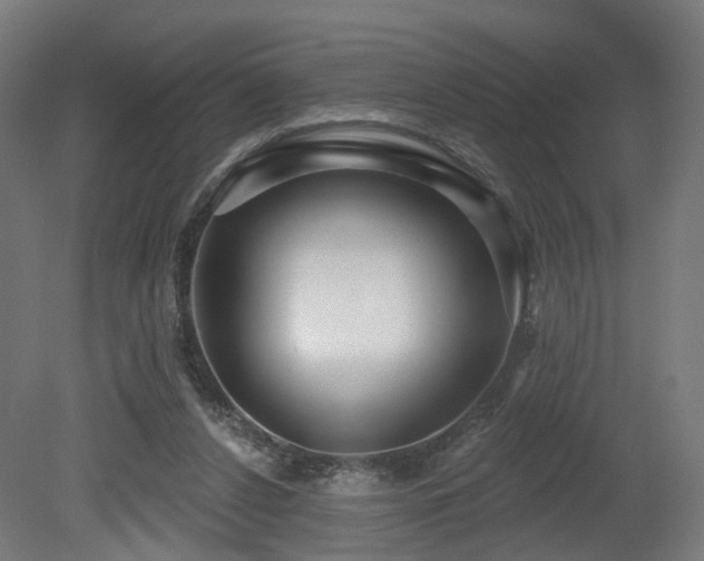 X0000079580256200612011225
