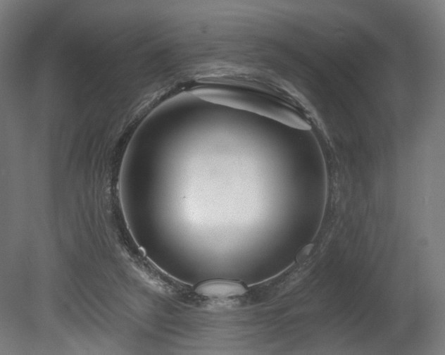 X0000079580257200612011225