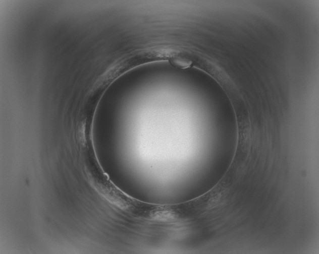 X0000079580262200612011225