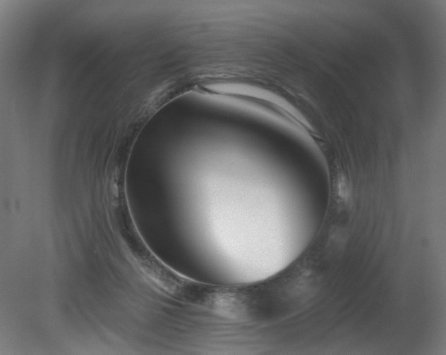 X0000079580264200612011225