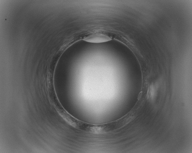 X0000079580265200612011226