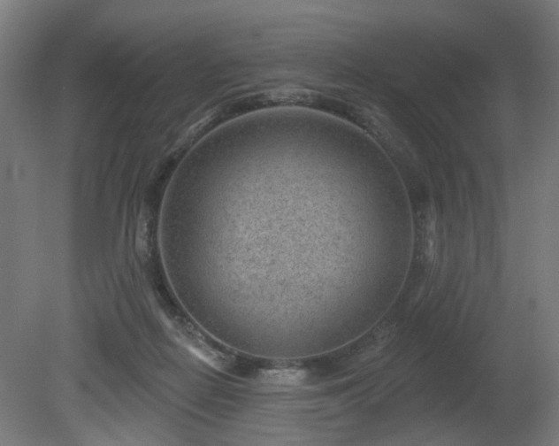 X0000079580266200612011226