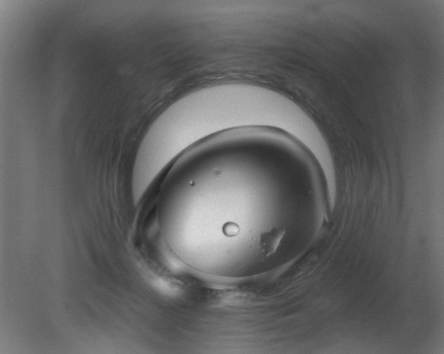X0000079580268200612011226
