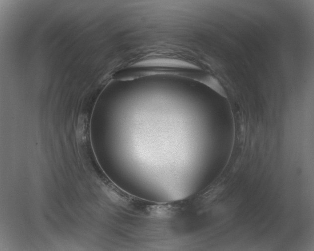 X0000079580273200612011226