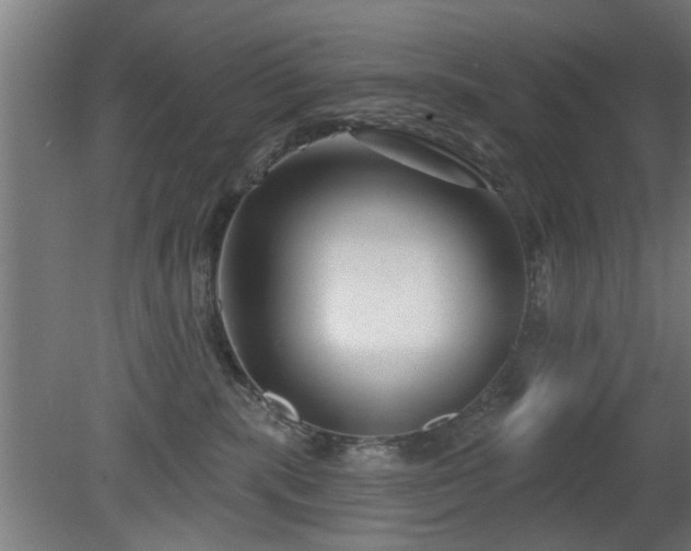 X0000079580283200612011226