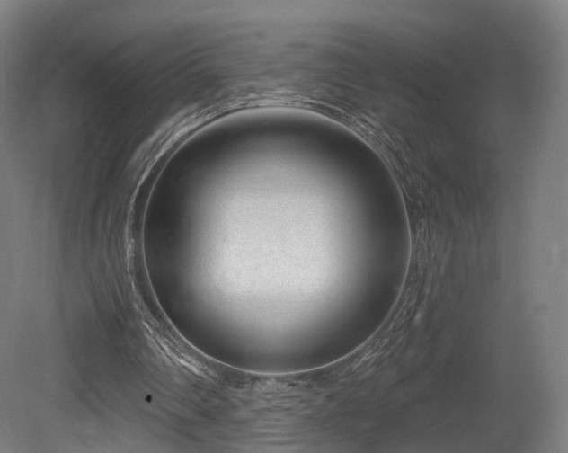 X0000079580290200612011225