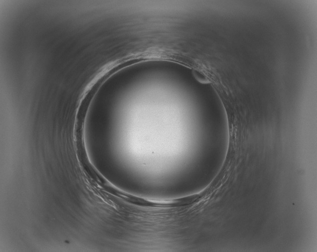 X0000079580292200612011225