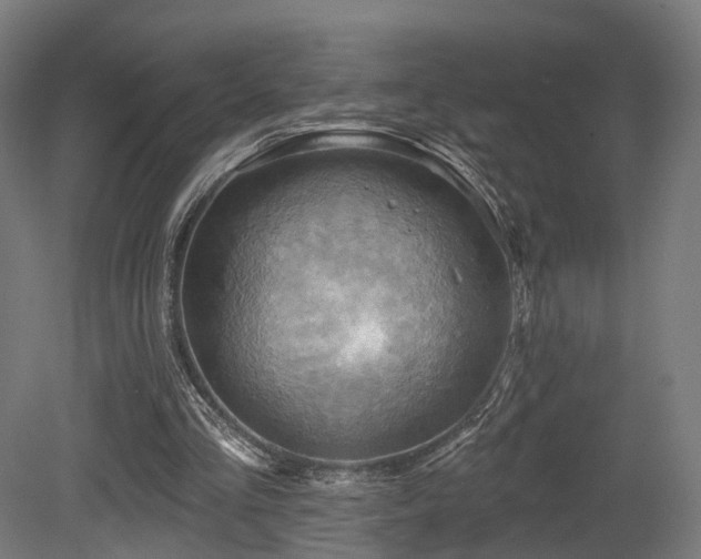 X0000079580293200612011225