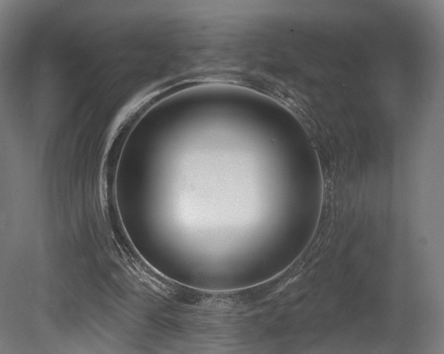 X0000079580294200612011225