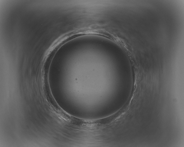 X0000079580295200612011225
