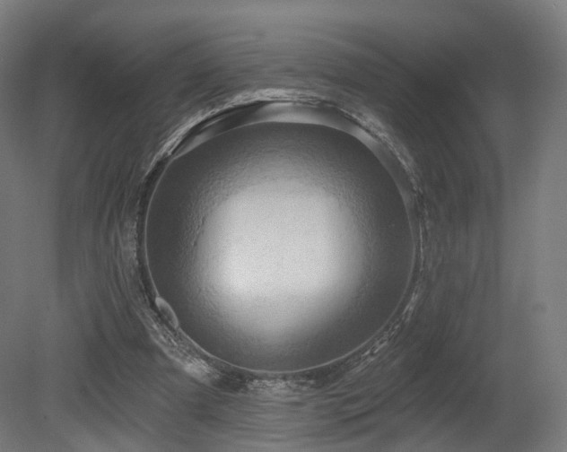 X0000079580297200612011225