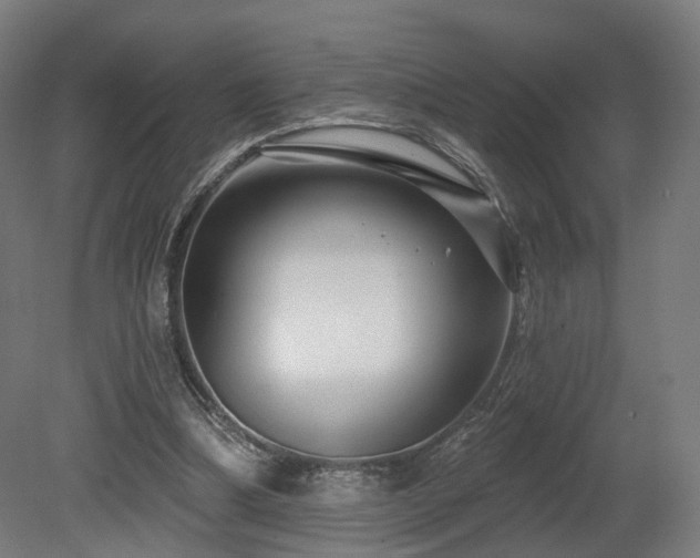 X0000079580298200612011225