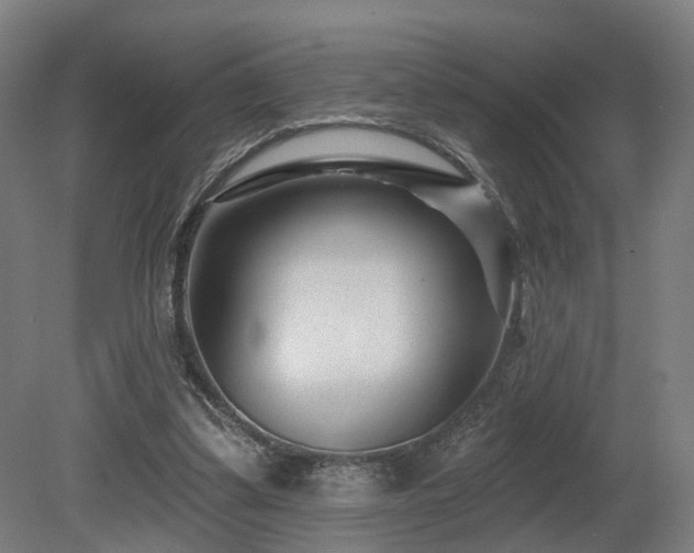 X0000079580299200612011225