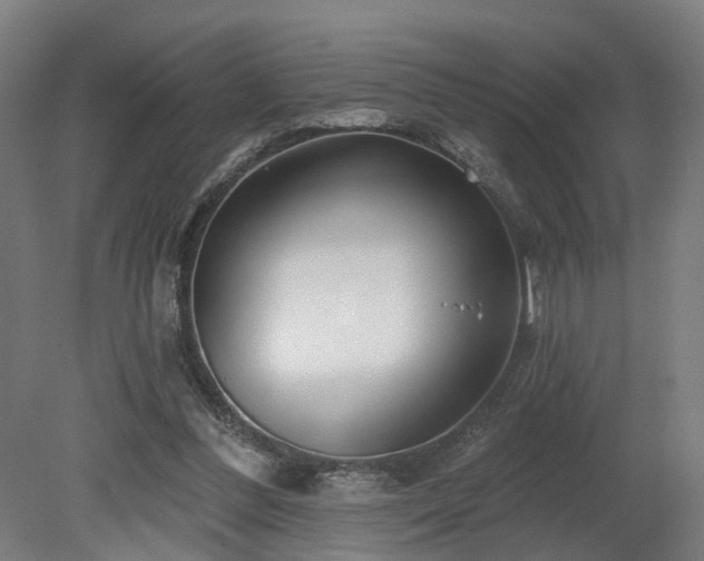 X0000079580300200612011225