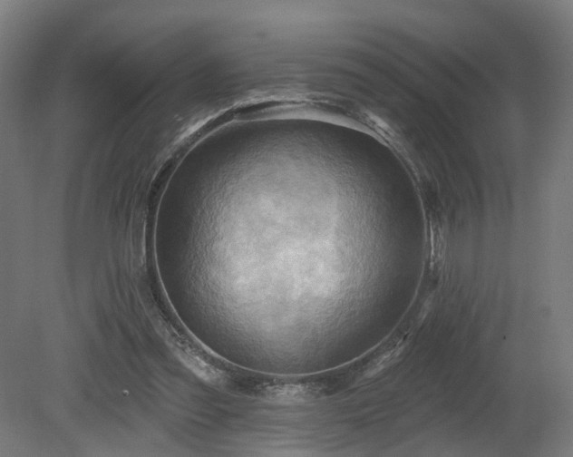 X0000079580301200612011225