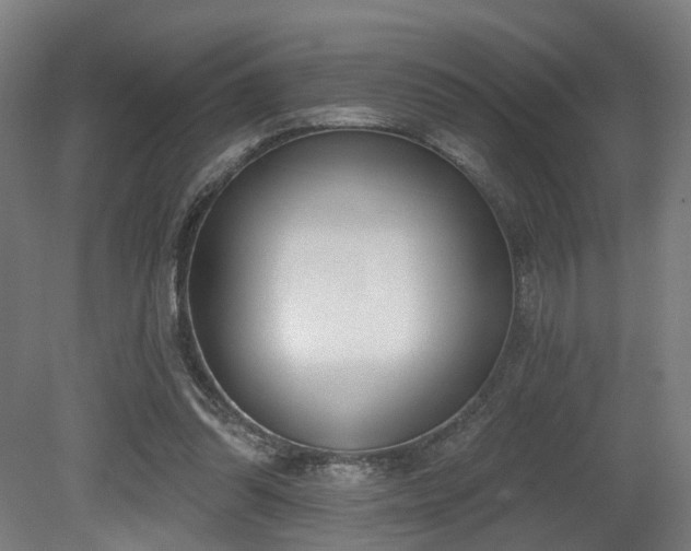 X0000079580302200612011225