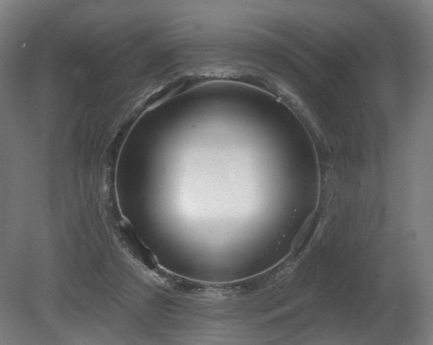 X0000079580305200612011225
