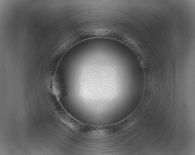 X0000079580307200612011225