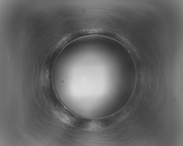 X0000079580308200612011225