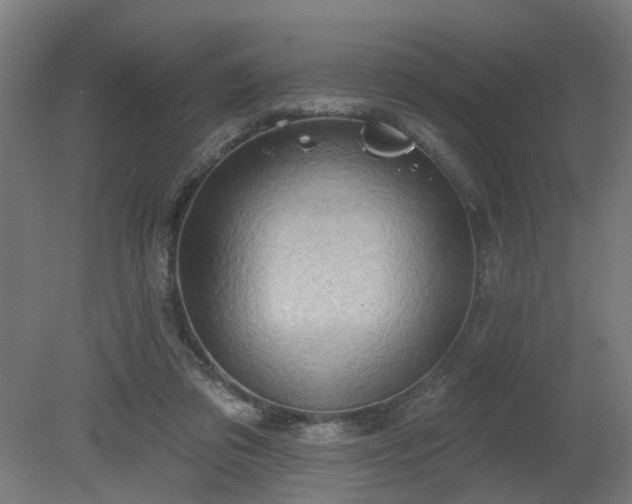 X0000079580309200612011225