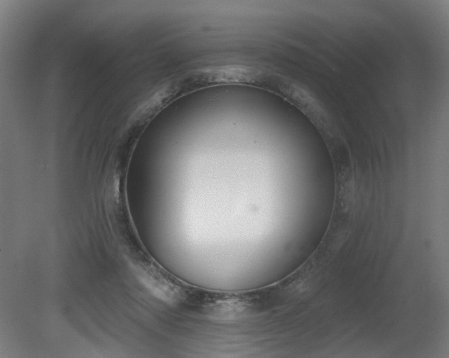 X0000079580310200612011225