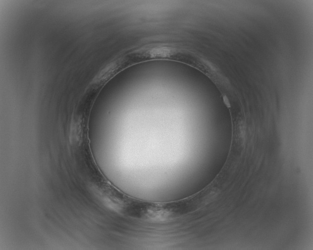 X0000079580311200612011225